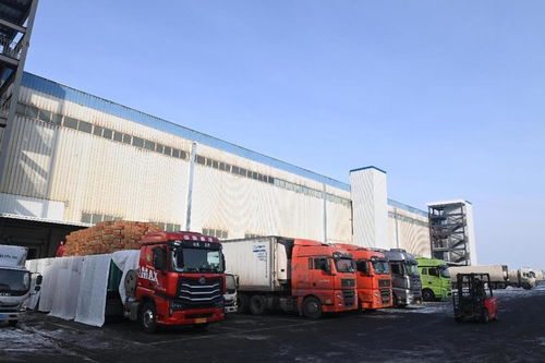 新疆海鴻國際食品物流港匯通智冷4萬噸倉庫試運(yùn)行，打造國際冷鏈物流新樞紐