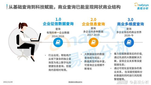 商業查詢已成社會信用基石，中國商業查詢市場發展機遇與企業在咨詢服務下的市場策略